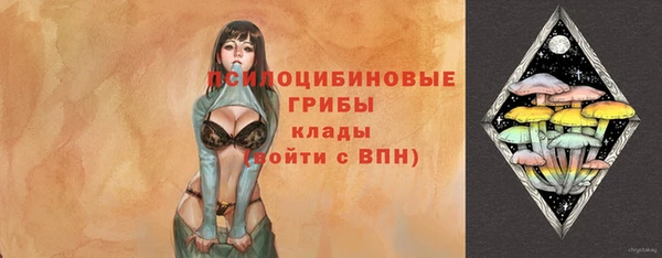 МДПВ Богданович