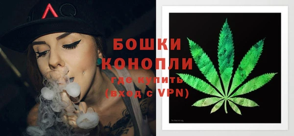прущие грибы Бугульма
