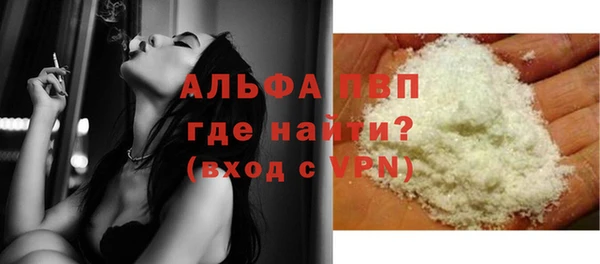 прущие грибы Бугульма