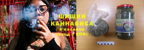 прущие грибы Бугульма