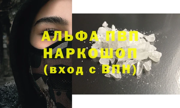 прущие грибы Бугульма