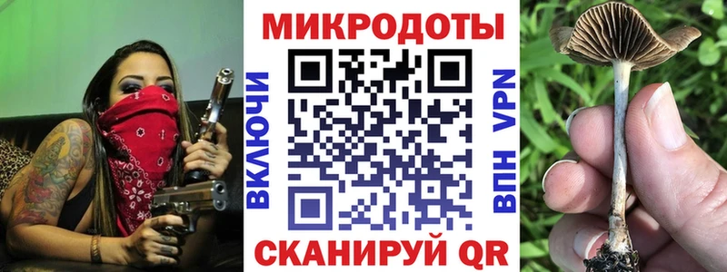 купить наркотики цена  OMG как войти  Псилоцибиновые грибы мицелий  Северск 