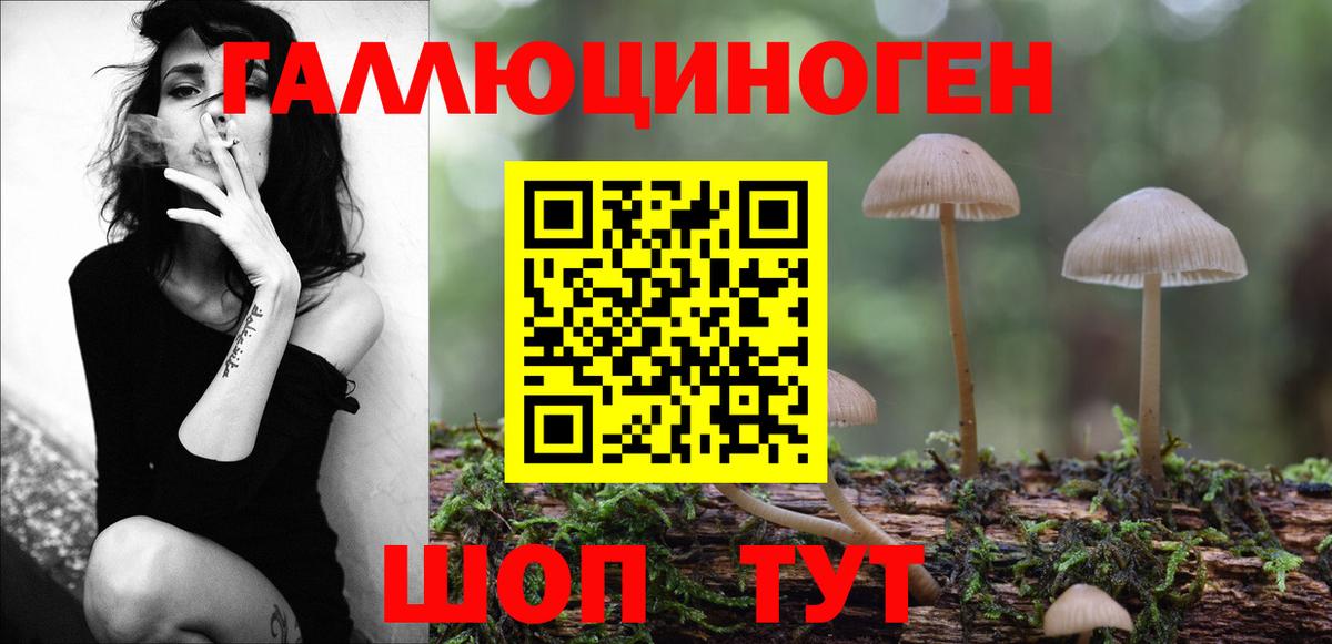 Псилоцибиновые грибы Magic Shrooms Северск