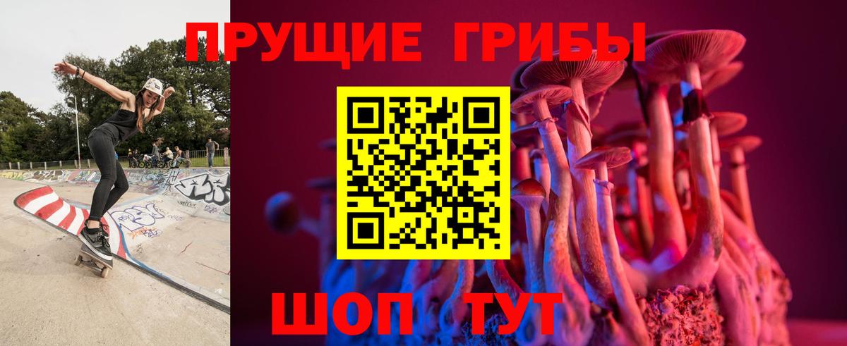 Галлюциногенные грибы Magic Shrooms  Галлюциногенные грибы MAGIC MUSHROOMS  Северск  Вход с VPN 